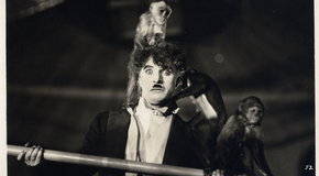 Boxgrid_43_circus_52