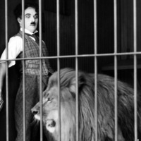 Circus_croped_341_normal