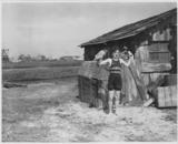 Mt_209_medium
