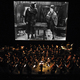 Gold_rush_at_philharmonie_munchen_square