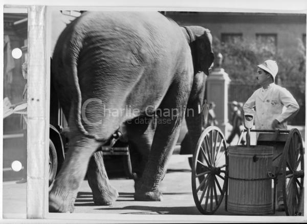 Charlie Chaplin Quotes: charlie chaplin quotes. Charlie Chaplin Quotes: