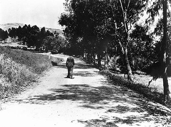 The Tramp walking on the country road – The Helpless Walk – The Tramp (1915)